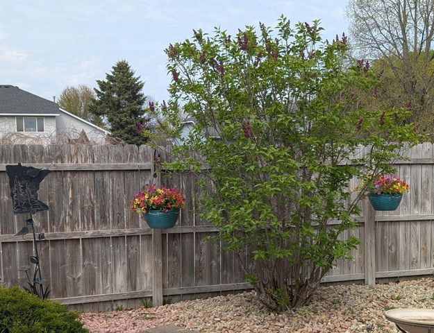 7224 96th Street S, Cottage Grove, MN 55016
