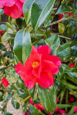 19423 Cape Hart Ct, Saint George, LA 70809