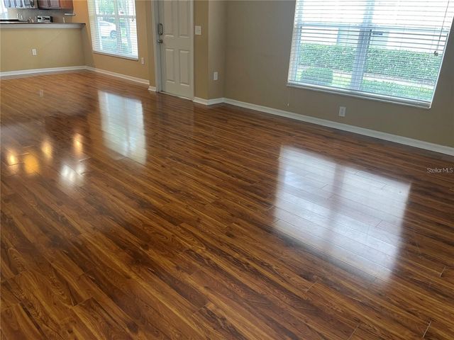 20120 WEEPING LAUREL PLACE, Tampa, FL 33647