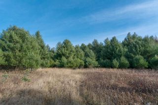 0000 E Bellinger Road, Cedar, MI 49621