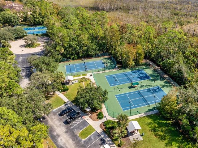 922 JASMINE STREET, Celebration, FL 34747