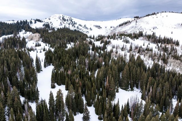 329 WHITE PINE CANYON RD, Park City, UT 84060