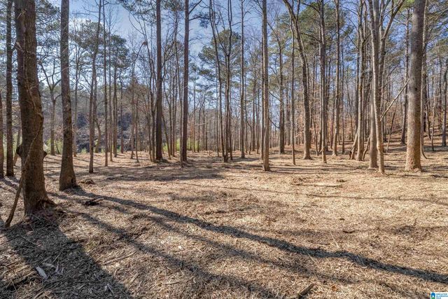 4024 MICHAEL PLACE, Irondale, AL 35210