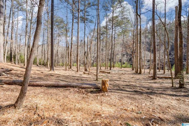 4024 MICHAEL PLACE, Irondale, AL 35210