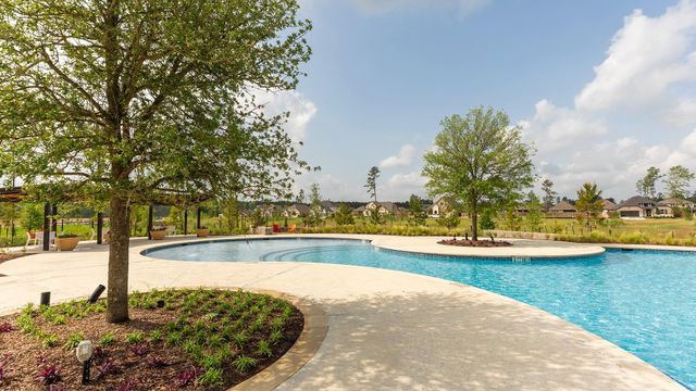 15924 Iris Meadow Drive, Conroe, TX 77302