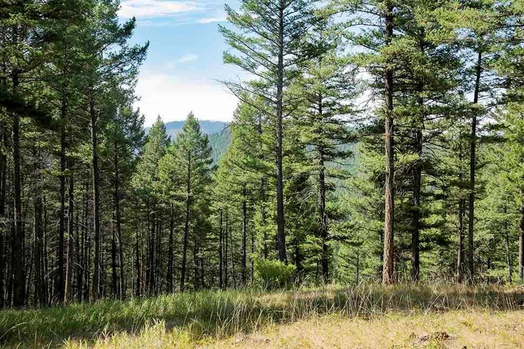 1243 Kienas Road, Kalispell, MT 59901 photo 3