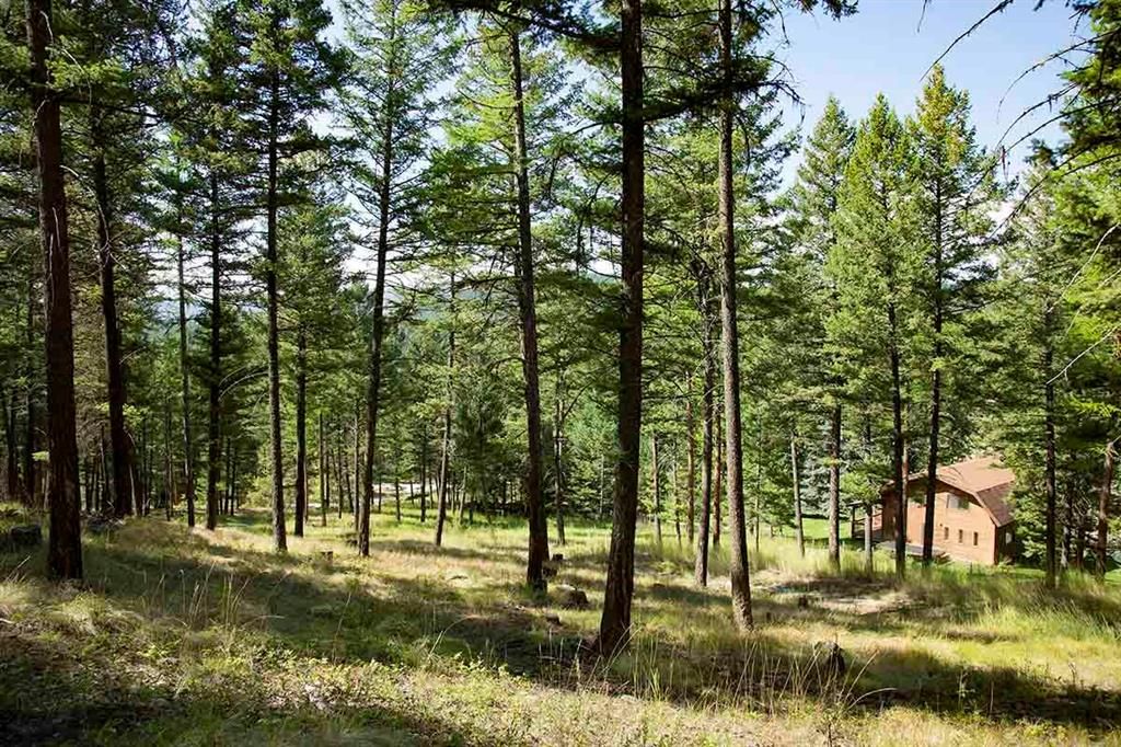 1243 Kienas Road, Kalispell, MT 59901 photo 4