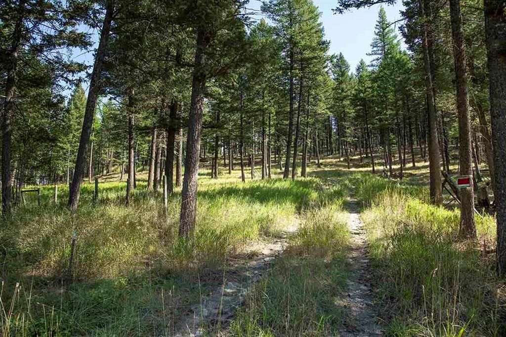 1243 Kienas Road, Kalispell, MT 59901 photo 5