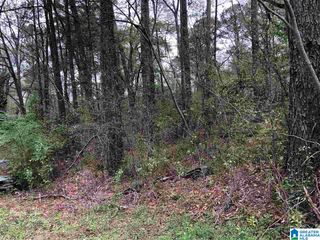 725 CARL RAINES LAKE ROAD, Hoover, AL 35244