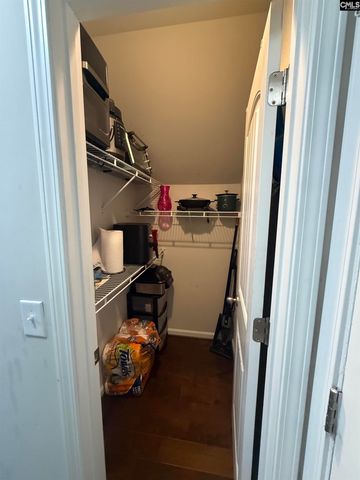 514 Walking Lane, Lexington, SC 29073