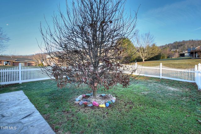 295 Sunrise Drive, Elizabethton, TN 37643