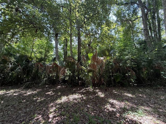 23946 INDIGO ROAD, Astor, FL 32102