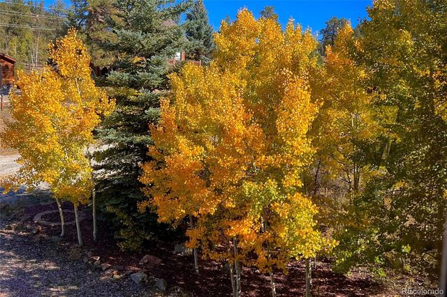 24 Sunlight Lane, Bailey, CO 80421