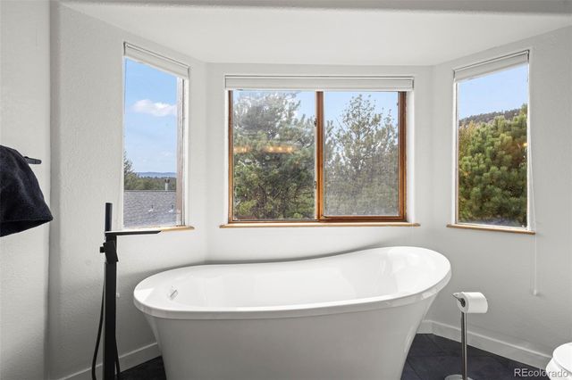 24 Sunlight Lane, Bailey, CO 80421