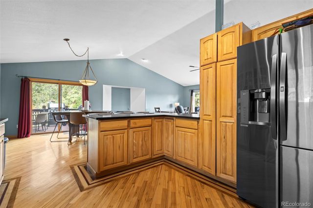 24 Sunlight Lane, Bailey, CO 80421