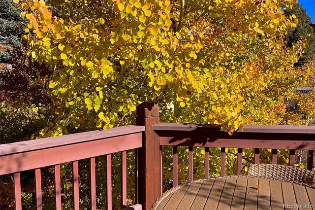 24 Sunlight Lane, Bailey, CO 80421