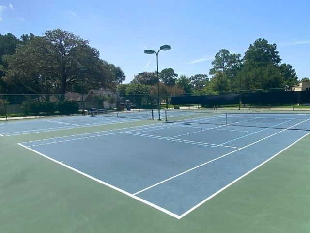 14653 Ophiuchus Court, Willis, TX 77318