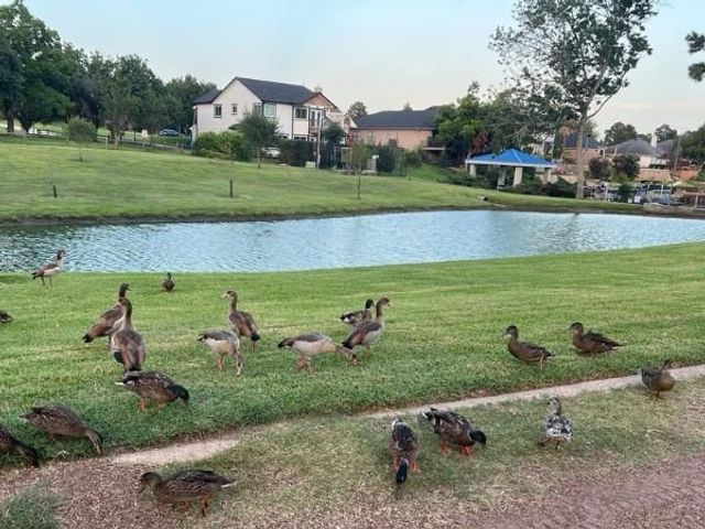 14653 Ophiuchus Court, Willis, TX 77318
