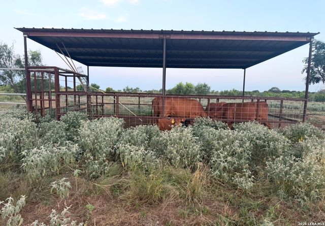 4167 County Road 136, Floresville, TX 78114