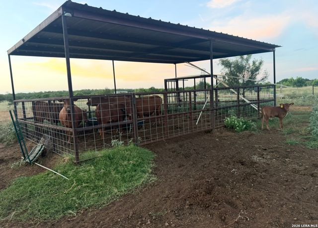 4167 County Road 136, Floresville, TX 78114