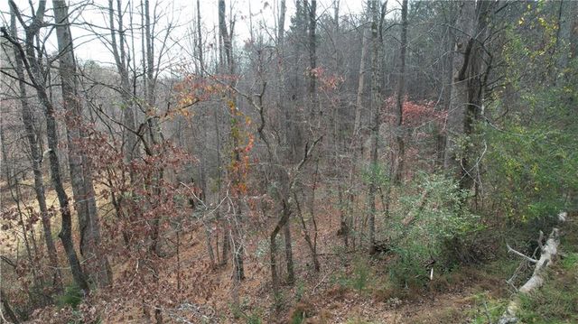 0000 Blackburn tract 3A Road, Dawsonville, GA 30534