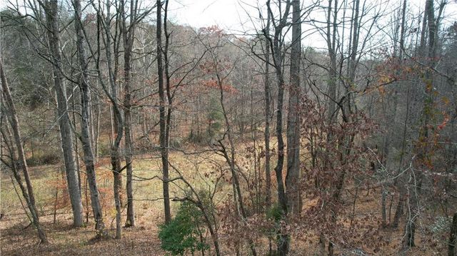 0000 Blackburn tract 3A Road, Dawsonville, GA 30534