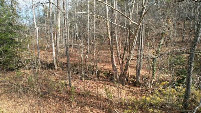 0000 Blackburn tract 3A Road, Dawsonville, GA 30534