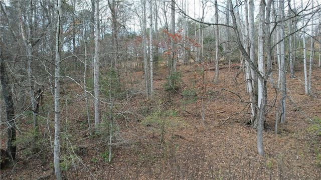 0000 Blackburn tract 3A Road, Dawsonville, GA 30534