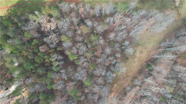 0000 Blackburn tract 3A Road, Dawsonville, GA 30534
