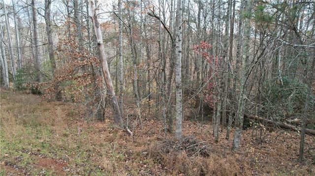 0000 Blackburn tract 3A Road, Dawsonville, GA 30534