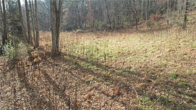 0000 Blackburn tract 3A Road, Dawsonville, GA 30534