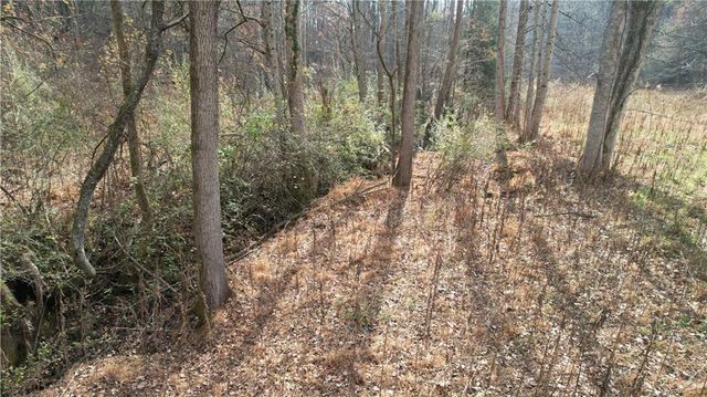 0000 Blackburn tract 3A Road, Dawsonville, GA 30534
