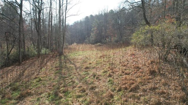 0000 Blackburn tract 3A Road, Dawsonville, GA 30534