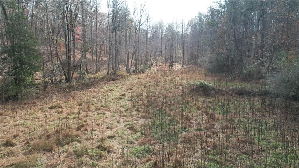 0000 Blackburn tract 3A Road, Dawsonville, GA 30534