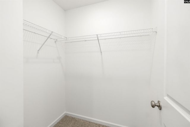 236 Brando Way, Columbia, SC 29223