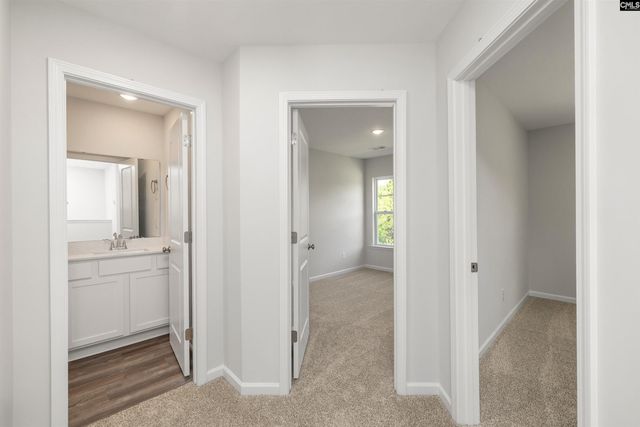 236 Brando Way, Columbia, SC 29223