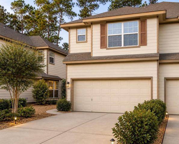 203 N Burberry Park Circle, The Woodlands, TX 77382