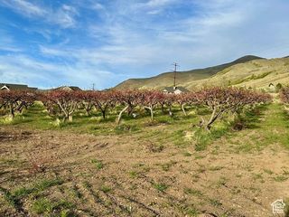 1981 S 100 W # 17, Perry, UT 84302