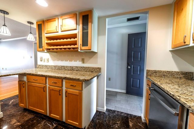 110 N TREMAIN STREET 202, Mount Dora, FL 32757