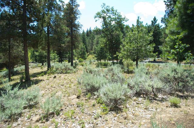Murrelet Rd Lot 727, Klamath Falls, OR 97601