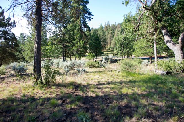 Murrelet Rd Lot 727, Klamath Falls, OR 97601
