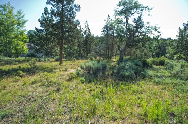 Murrelet Rd Lot 727, Klamath Falls, OR 97601