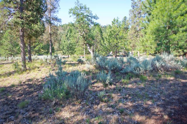 Murrelet Rd Lot 727, Klamath Falls, OR 97601