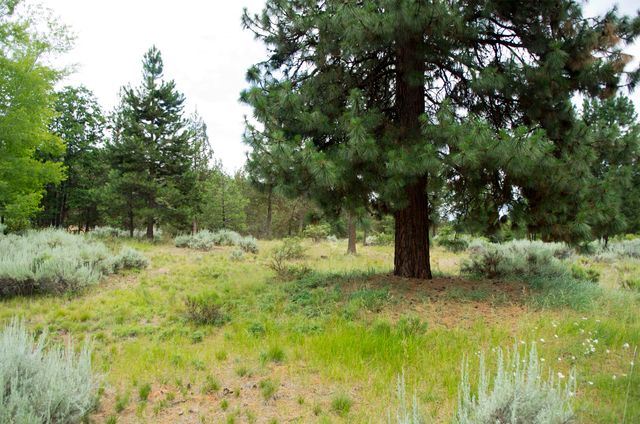 Murrelet Rd Lot 727, Klamath Falls, OR 97601