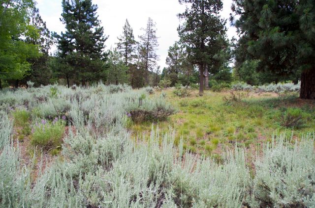 Murrelet Rd Lot 727, Klamath Falls, OR 97601