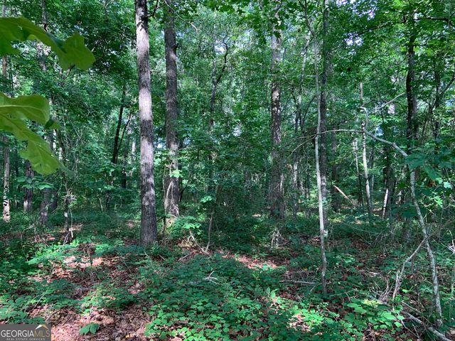 2159 HIGH FALLS Road, Griffin, GA 30223