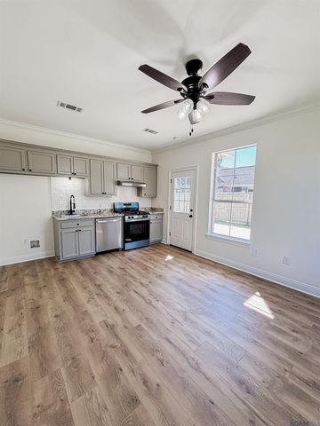 17375 Les Chenier St, Prairieville, LA 70769