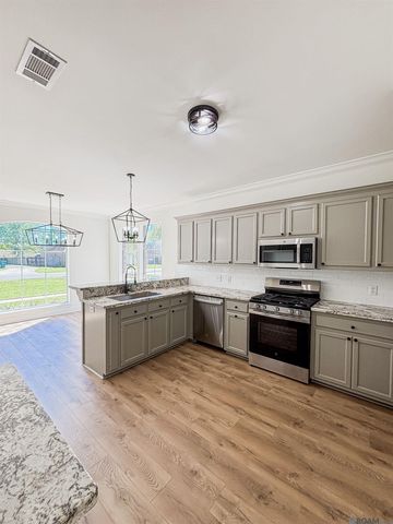 17375 Les Chenier St, Prairieville, LA 70769