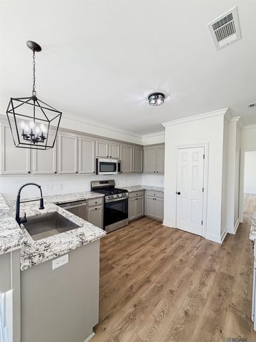 17375 Les Chenier St, Prairieville, LA 70769