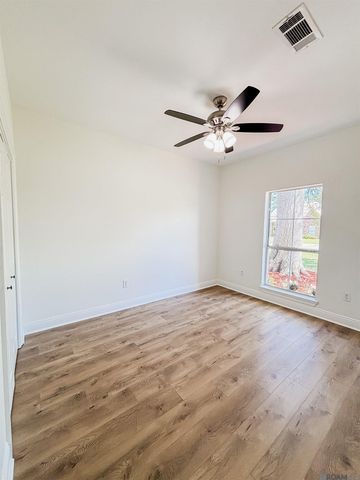 17375 Les Chenier St, Prairieville, LA 70769